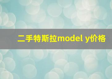 二手特斯拉model y价格